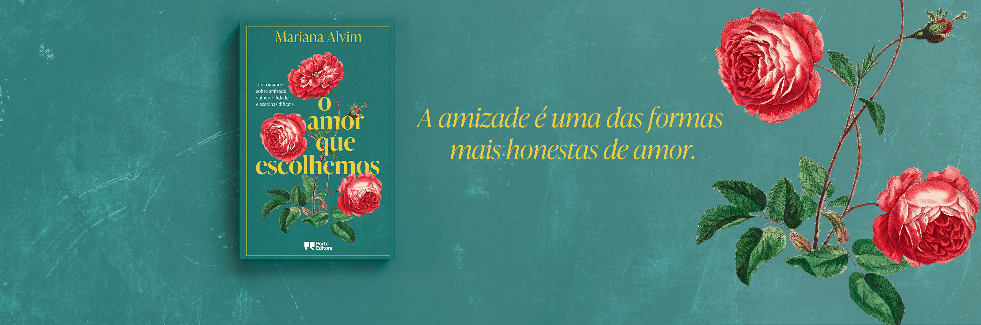 O Amor que escolhemos