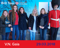 Axis Vermar Conference & Beach Hotel - V. N. Gaia